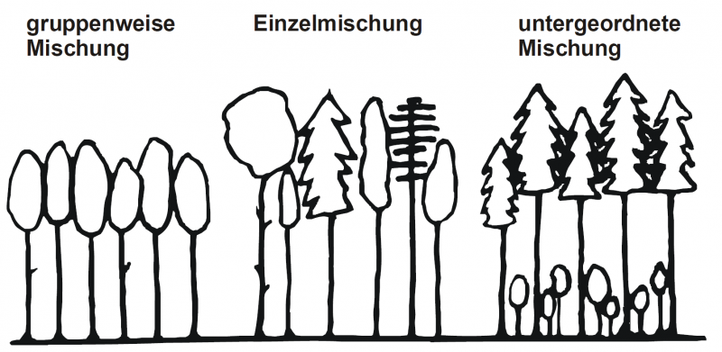 Datei:Abb3.12.png