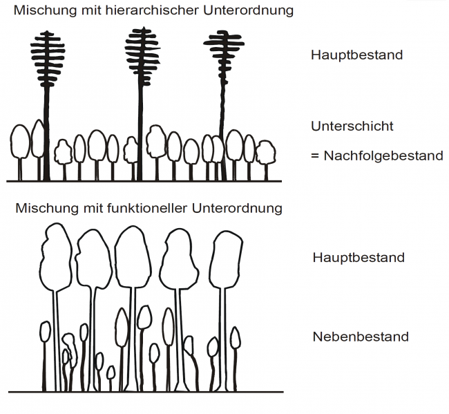 Datei:Abb3.14.png