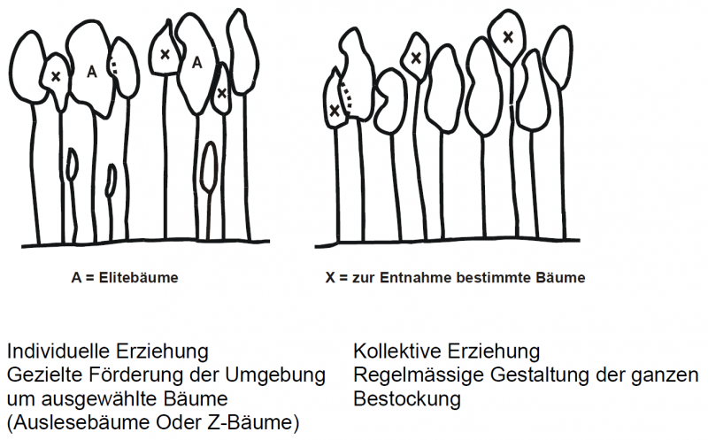Datei:Abb4.17.png
