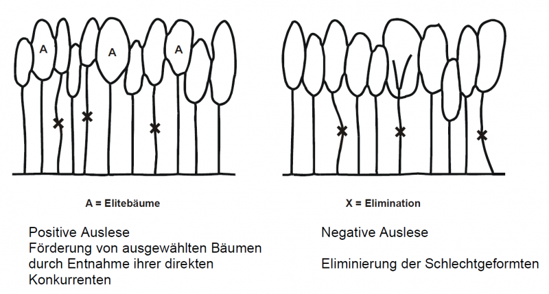 Datei:Abb4.19.png