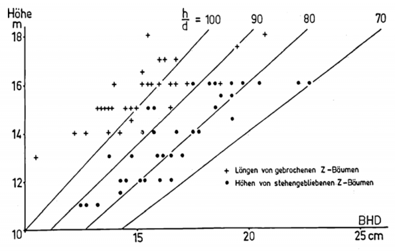 Datei:Abb4.8.png