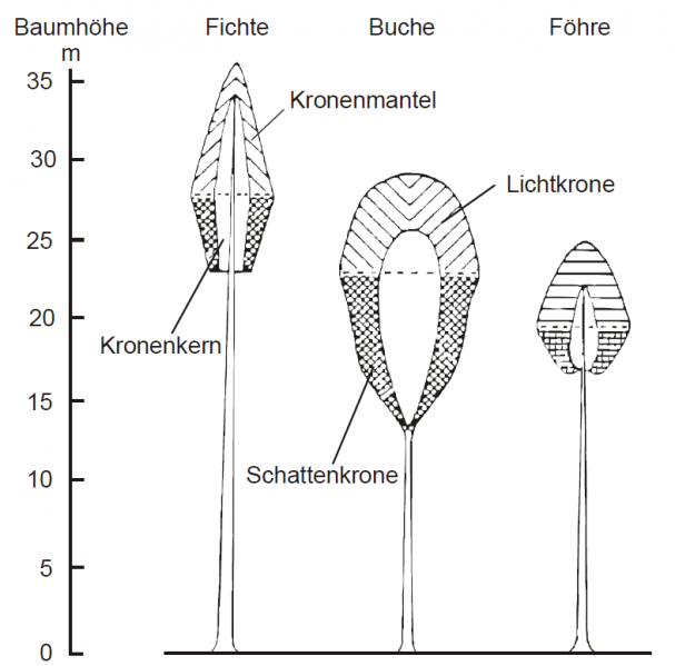 Datei:Abb5.1.png