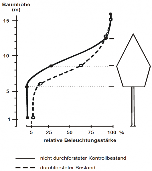 Datei:Abb5.13.png
