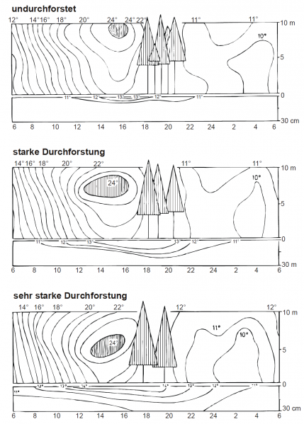 Datei:Abb5.16.png
