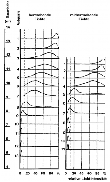 Datei:Abb5.5.png