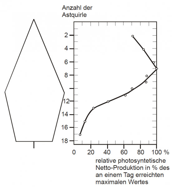Datei:Abb5.6.png