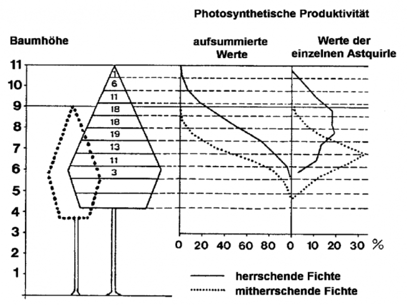 Datei:Abb5.7.png