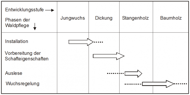 Datei:Abb6.3.PNG