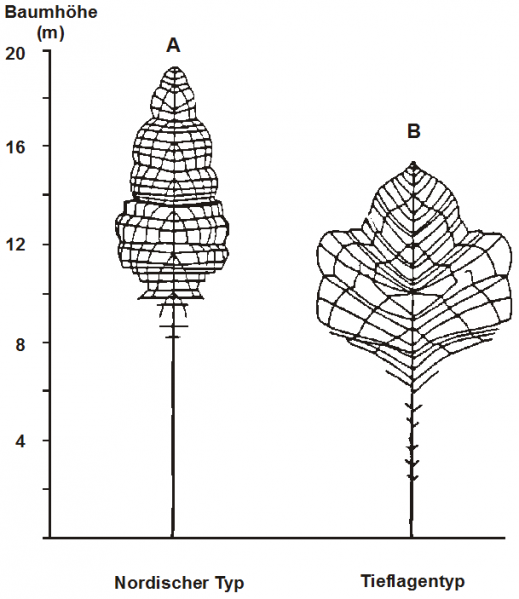 Datei:Abb6.6.PNG