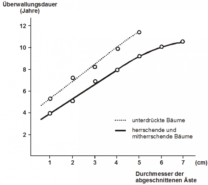 Datei:Abb7.2.PNG