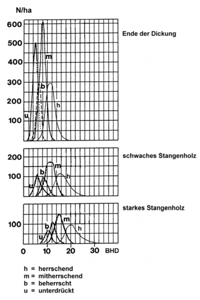 Datei:Abb 2.4.png