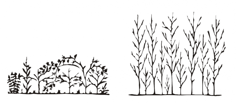 Datei:Abb 3.3.png