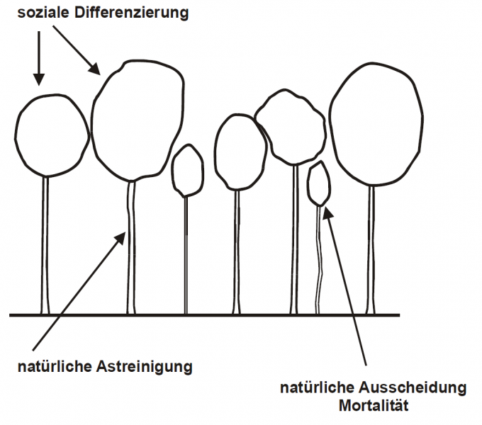 Datei:Abb 3.4.png
