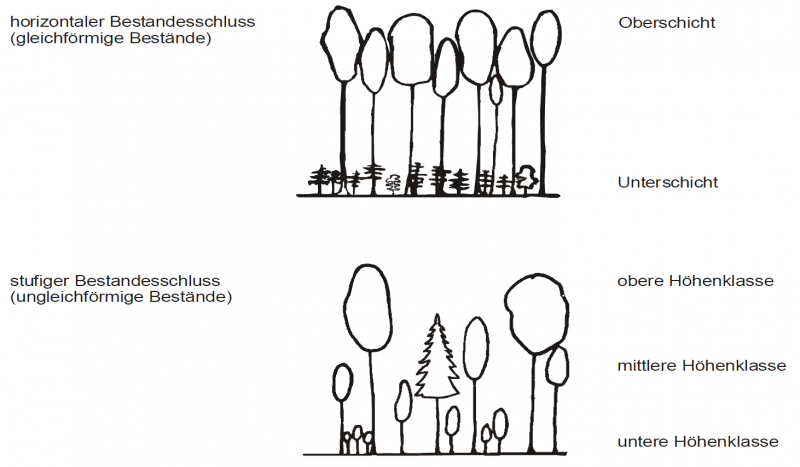 Datei:Abb 3.7.png