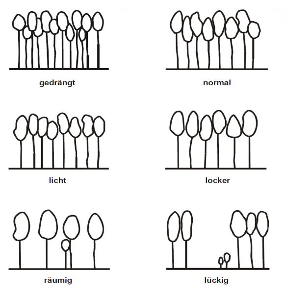 Datei:Abb 3.8.png