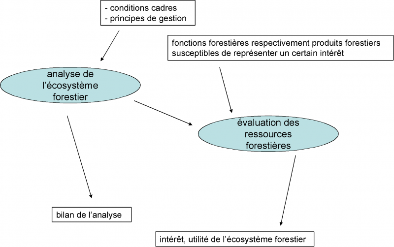 Datei:Fig33.png