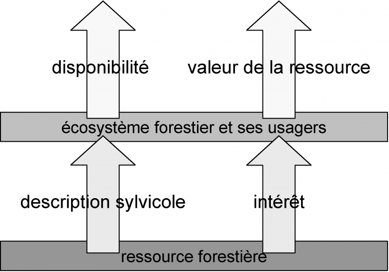 Datei:Fig41.png