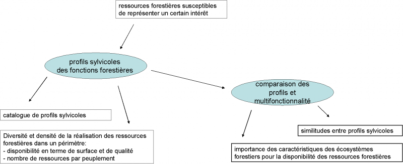 Datei:Fig42.png