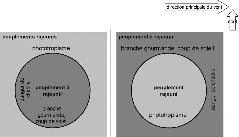 Datei:Fig68.png
