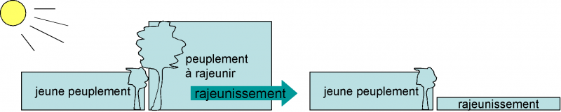 Datei:Fig69.png